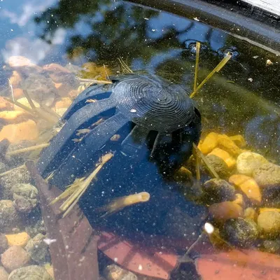 Bộ lọc ngâm cho ao hoặc vườn nước