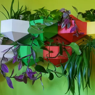 Chậu hoa treo hình lục giác chống nhỏ giọt cho cây trồng