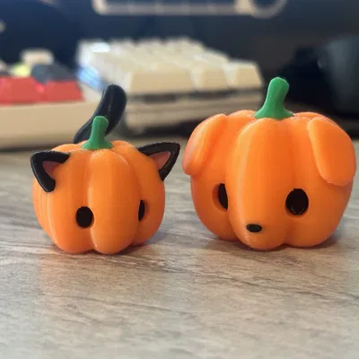 Chó con bí ngô dễ thương đi kèm mèo pumkiee