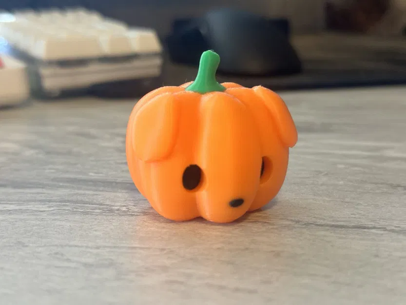 Chó con bí ngô dễ thương đi kèm mèo pumkiee - Image 2