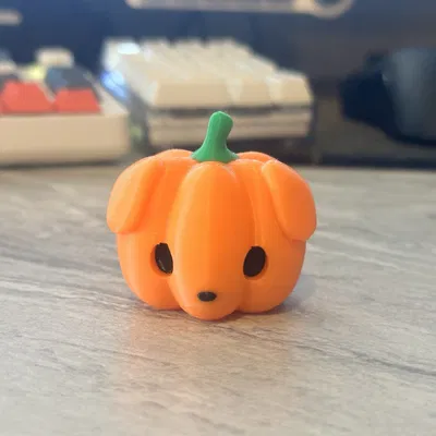 Chó con bí ngô dễ thương đi kèm mèo pumkiee