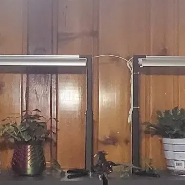 Chân Đế Đèn Tăng Trưởng Cây Barrina T8