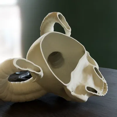 Đèn Sọ Sừng | Sọ Quỷ | Sọ Có Sừng