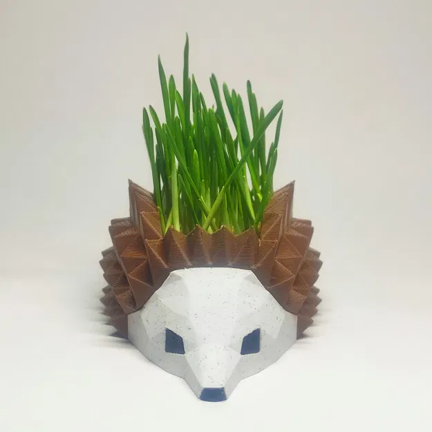 Chậu Cây Nhím, Khay Ươm Hạt Giống - Image 1