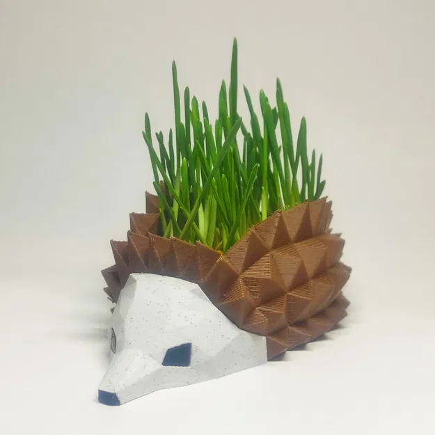 Chậu Cây Nhím, Khay Ươm Hạt Giống - Image 2