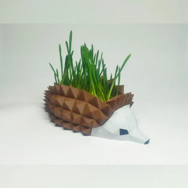 Chậu Cây Nhím, Khay Ươm Hạt Giống - Image 3