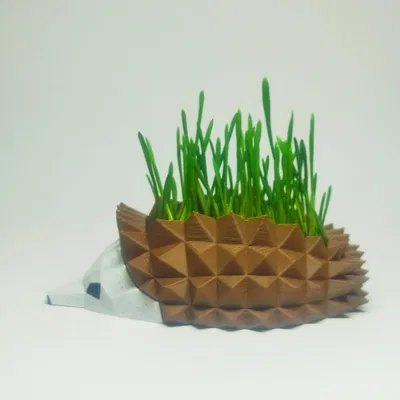 Chậu Cây Nhím, Khay Ươm Hạt Giống