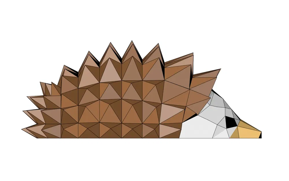 Chậu Cây Nhím, Khay Ươm Hạt Giống - Image 6