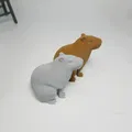 Mô hình capybara ngồi chi tiết cao poly - Thumbnail 3