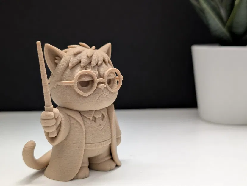 Mèo Khó Tính Phù Thủy Harry Potter - Image 3