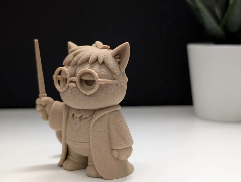 Mèo Khó Tính Phù Thủy Harry Potter - Image 9