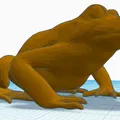Mô hình 3D Con Ếch - Thumbnail 2