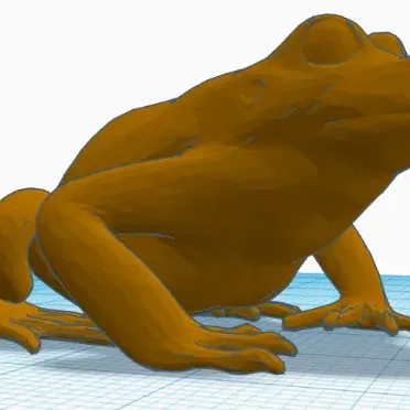 Mô hình 3D Con Ếch