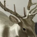 Mô hình hươu đỏ đẹp và chân thực dễ in 3D - Thumbnail 3