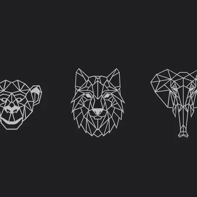 Tranh Gắn Tường Hình Học Động Vật