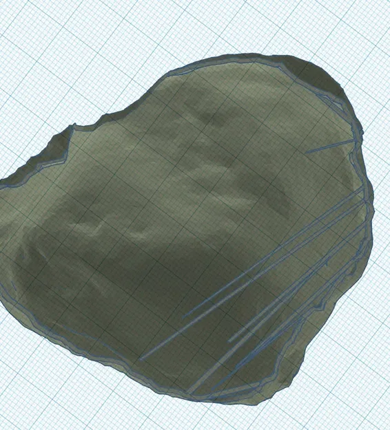 Nơi ẩn náu đá cho bò sát trong môi trường nuôi thú cưng - Image 3