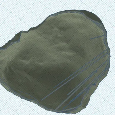 Nơi ẩn náu đá cho bò sát trong môi trường nuôi thú cưng