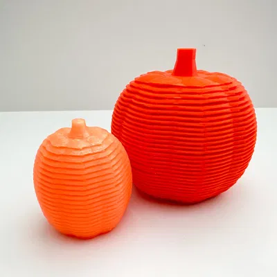 Bộ đôi bí ngô đàn hồi và co giãn kích thước lớn nhỏ