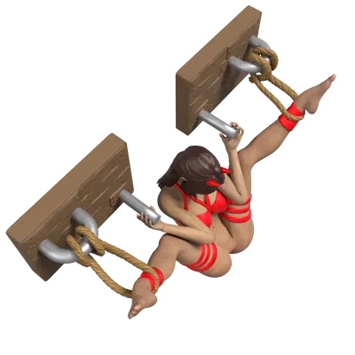 Mô hình figura BDSM 01 với thiết kế treo tường