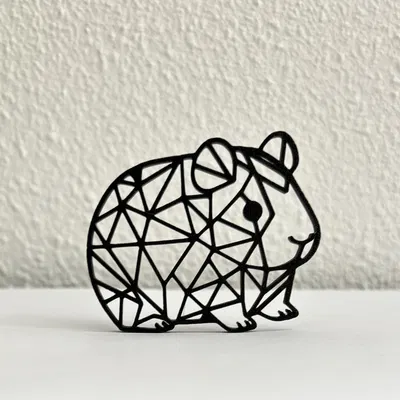 **Chuột lang hình học**