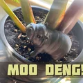 Figurine Moo Deng tuyệt đẹp, đáng yêu và độc đáo - Thumbnail 1