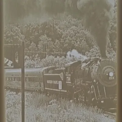 Mô hình lithophane mèo tro với đèn LED cảm biến chuyển động