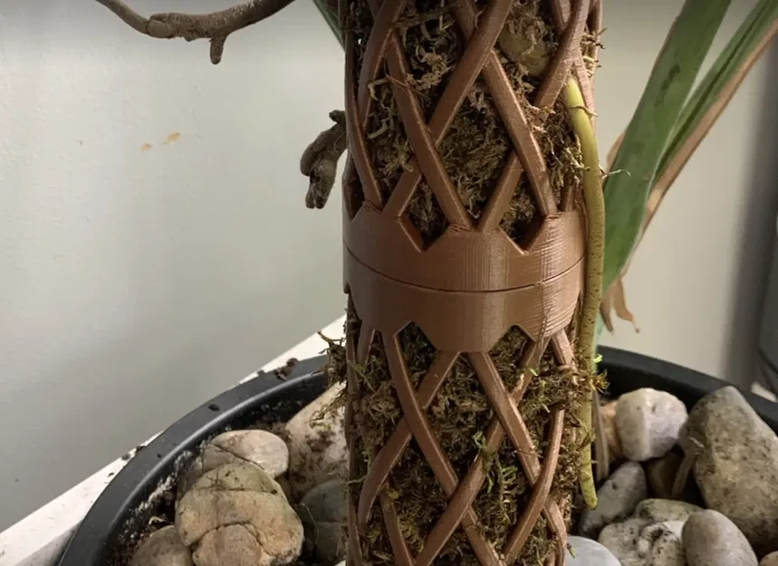 Cột rêu Monstera với hệ thống tưới nhỏ giọt tự động - Image 3