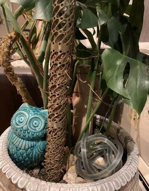 Cột rêu Monstera với hệ thống tưới nhỏ giọt tự động - Image 4