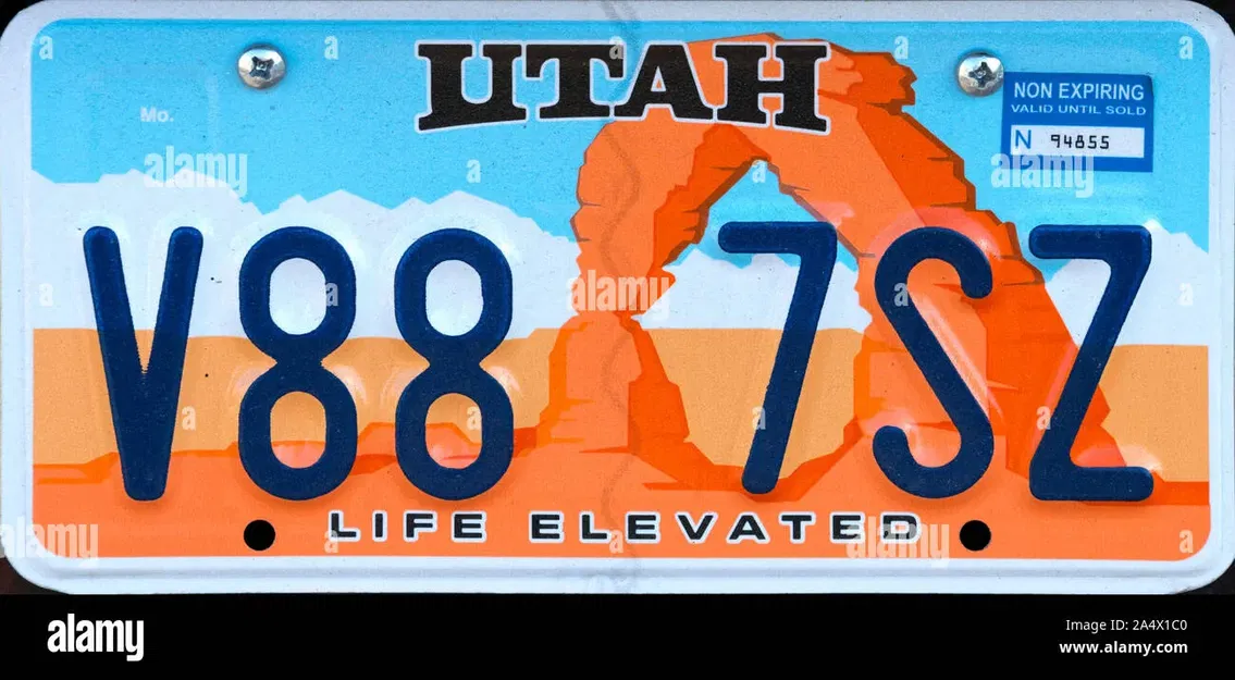 Biển số xe đa màu sắc USA với tùy chỉnh văn bản - Image 5