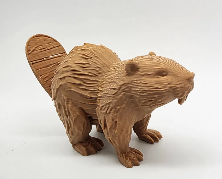 Castor gỗ với đuôi có vết nứt nhỏ - Image 1