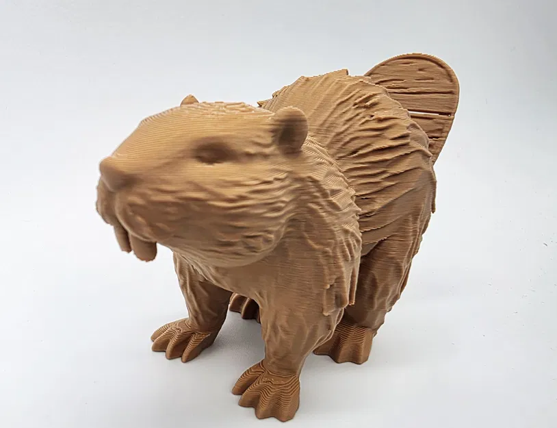 Castor gỗ với đuôi có vết nứt nhỏ - Image 2