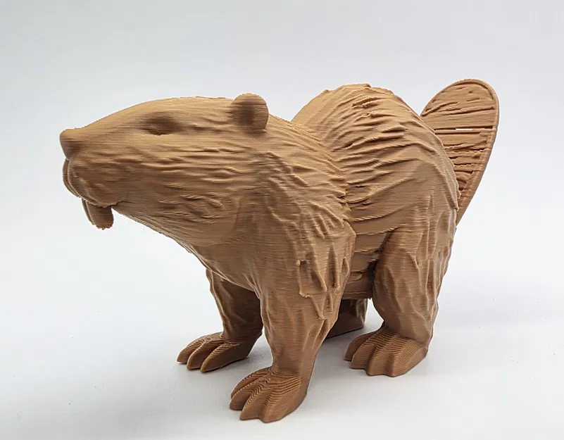 Castor gỗ với đuôi có vết nứt nhỏ - Image 4