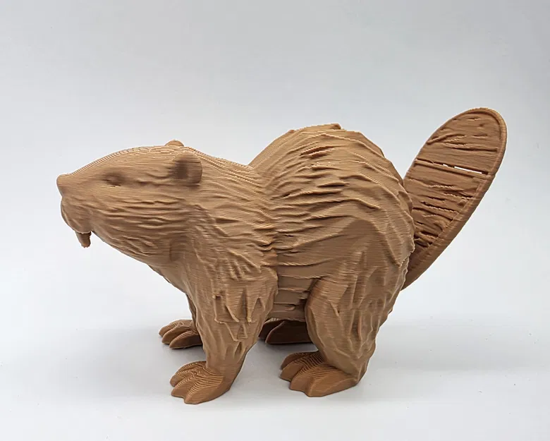 Castor gỗ với đuôi có vết nứt nhỏ - Image 6