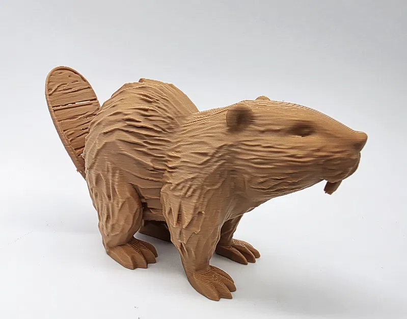 Castor gỗ với đuôi có vết nứt nhỏ - Image 7