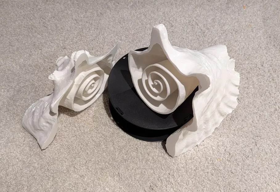 Kèn Ốc Xà Cừ - Image 3