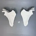 Xương Bả Vai Trái và Phải từ CT scan, Kích thước thật - Thumbnail 3