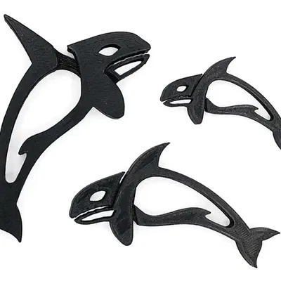 Kẹp Cá Voi Sát Thủ (Orca Clip)