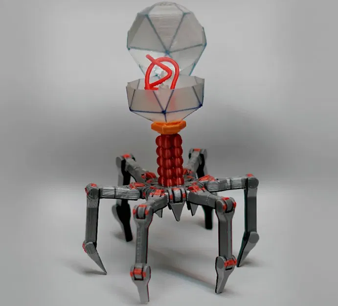 T4 Vi Khuẩn Khủng Long Dễ Thương In Liền Không Cần Hỗ Trợ - Image 1