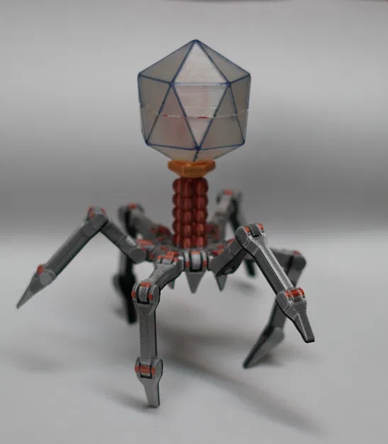 T4 Vi Khuẩn Khủng Long Dễ Thương In Liền Không Cần Hỗ Trợ - Image 2