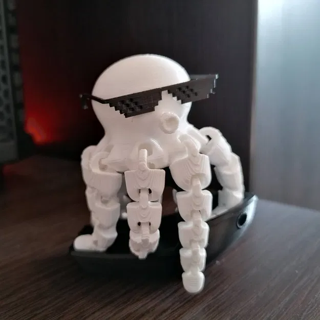 Kính Mắt Cho Bạch Tuộc Tí Hon - Image 1