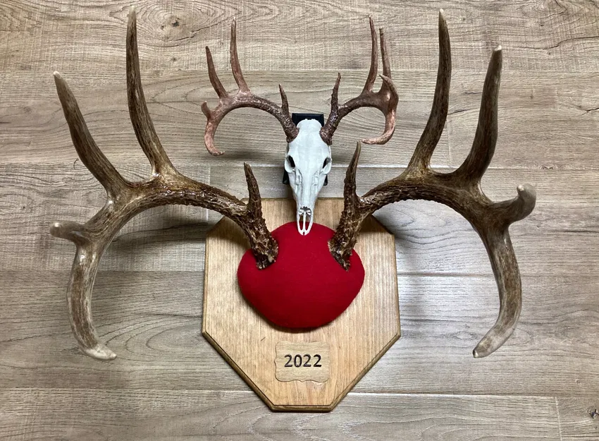 Tượng Hươu Nai Kiểu Châu Âu Mini Cải Tiến - Image 3