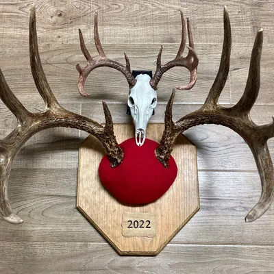 Tượng Hươu Nai Kiểu Châu Âu Mini Cải Tiến