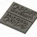 Biểu tượng Đại học Cardiff - Thumbnail 2