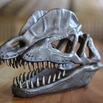 Hộp sọ khủng long Dilophosaurus