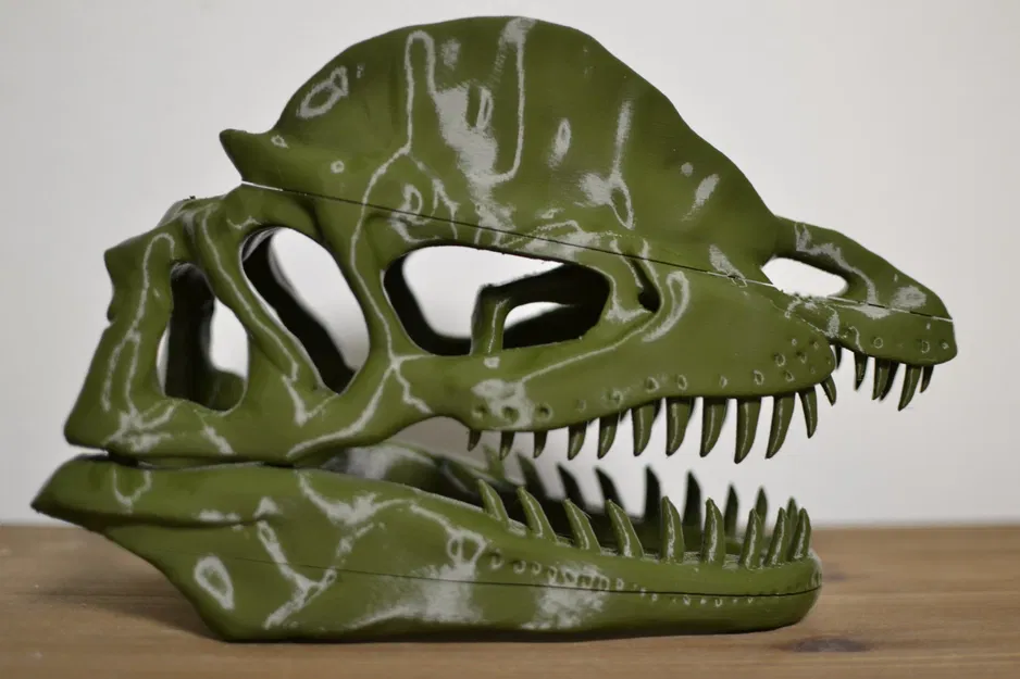 Hộp sọ khủng long Dilophosaurus - Image 3