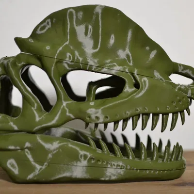 Hộp sọ khủng long Dilophosaurus