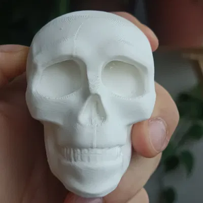 Đầu Lâu Phong Cách Halloween