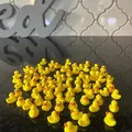Vịt Con Trang Trí - Duckling Decore - Thumbnail 1