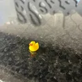 Vịt Con Trang Trí - Duckling Decore - Thumbnail 2