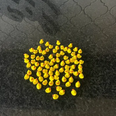 Vịt Con Trang Trí - Duckling Decore